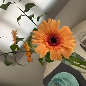 Eva Y Lola Appartement